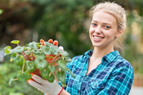 Landscape design and garden planning in Eltham with natural planting and structure