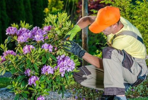 Customer complaint review for landscaping project