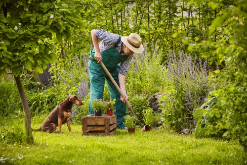 Garden landscaping project in Eltham with structured planting and lawn areas
