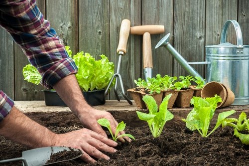 Professional landscaping Eltham concepts showing pathways, plants, and outdoor living