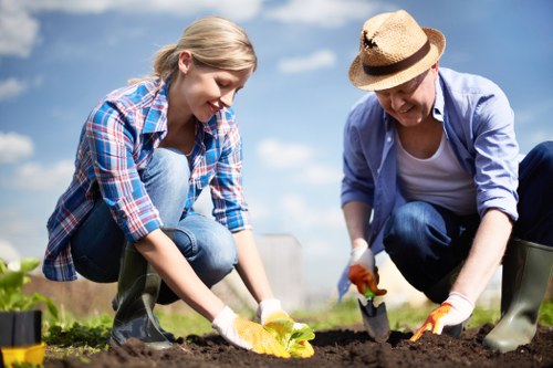 Garden makeover planning and landscaping work in an Eltham residential garden