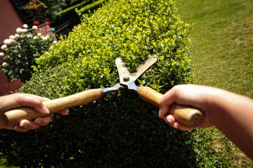 Professional decking installation for residential or commercial use in Eltham