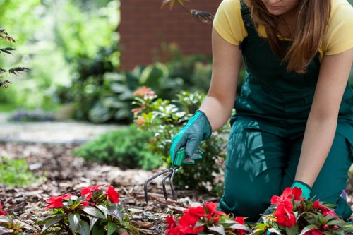 Professional turf installation work on a residential lawn in Eltham