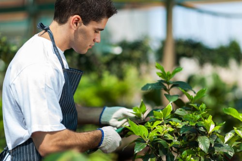 Accepted payment methods for Landscaping Eltham services