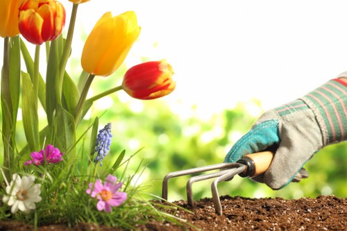 Cookie policy updates and management for Landscaping Eltham