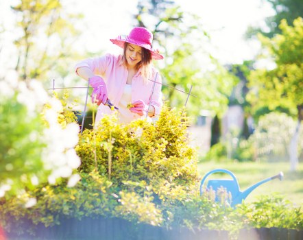 Landscaping issue documentation and assessment