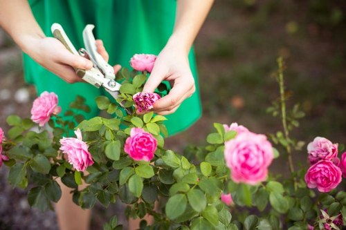 Professional artificial turf fitting for residential and commercial properties in Eltham