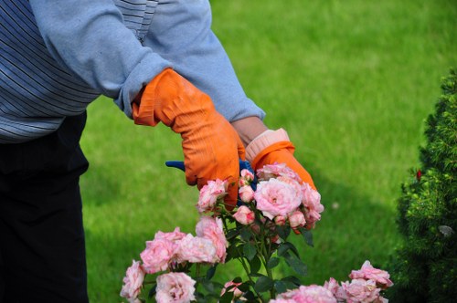 Planting, mulch and lawn finishing for a soft landscaping project in Eltham