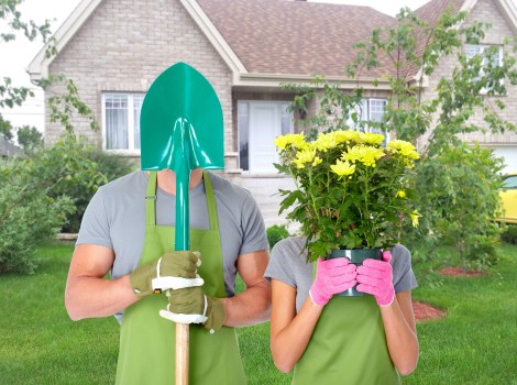 Local Eltham backyard landscaping featuring pathways and garden beds