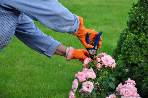 Local garden border and soil preparation for soft landscaping in Eltham
