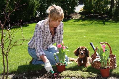 Example of a front-yard landscaping quote for an older Eltham home