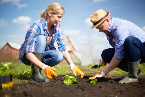 Landscape design plan and site assessment for a garden service