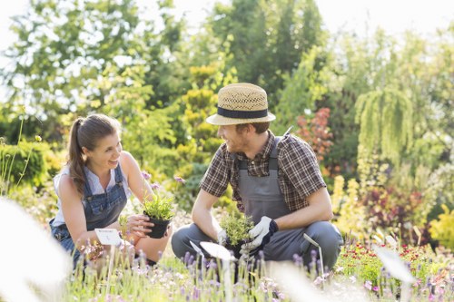Low-maintenance artificial grass for family outdoor spaces in Eltham